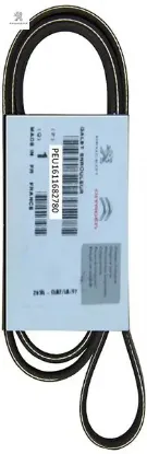 Alternatör Kayişi Klimali 6 Pk 1680 Partner Dw8 5750.KR/ 5750.QE resmi