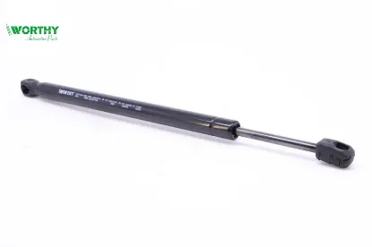 Motor Kaput Amortisörü 508 Worthy  9676537380   610170 resmi