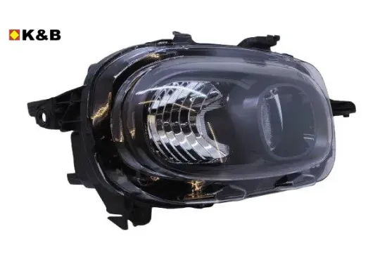 Sağ Ön Far  C3 K&b  9820059280   GP.9820059280 resmi