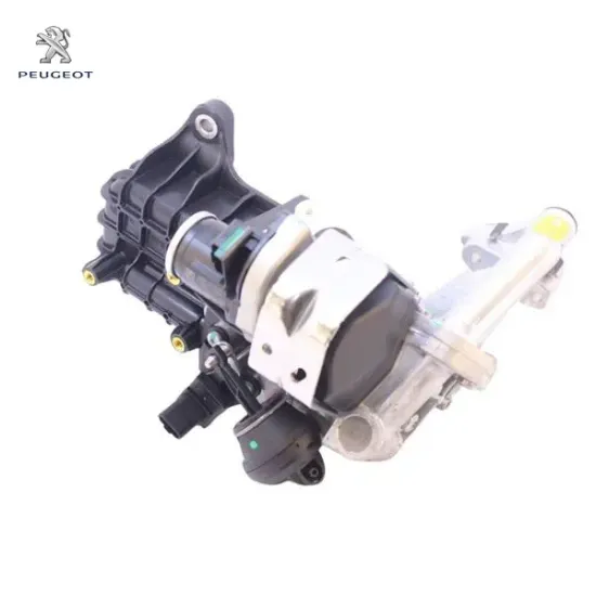 Egr 308-3008-508-5008 Dw10fd Kuga Monde0 2.0d 14> resmi