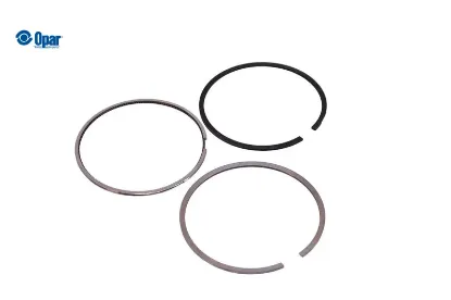 Segman Piston Std Ducato 2.8 Opar 2992038 resmi