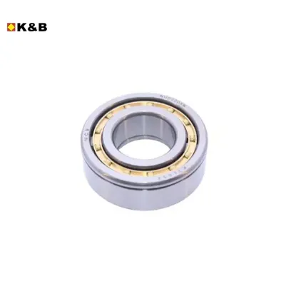 Grup Mili Arka Rulmani  J10 K&b  K22N380/ NUP2205EM resmi