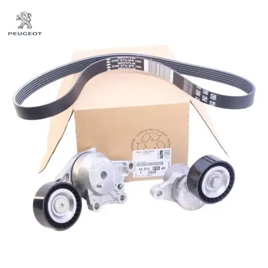 Alternatör Kiti 308-3008-5008 Expert Iv Dv6f resmi