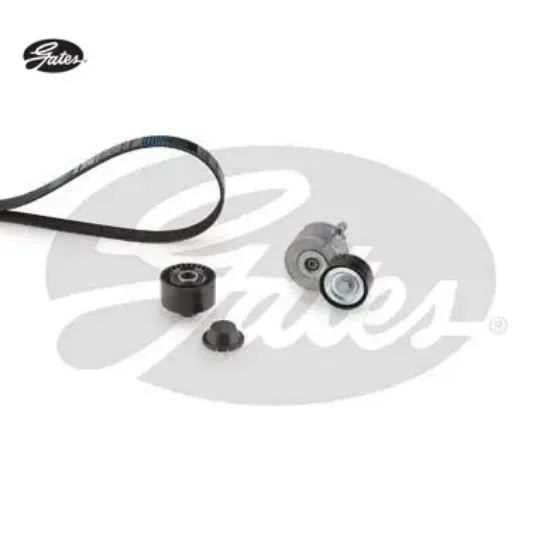 Alternatör Kiti   206-407-partner  Dv4td/dv6ted Gates  1613844480   K026PK1708 resmi