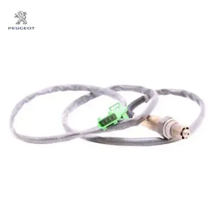 Oksijen Müşiri Peugeot    PEUGEOT, CITROEN 1628.HQ resmi