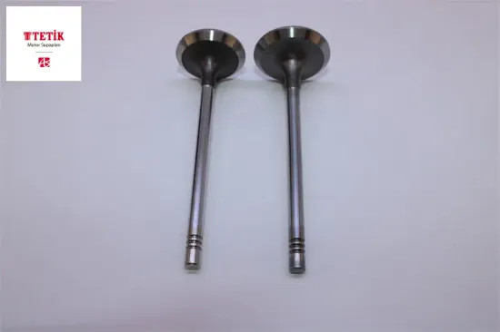 Subap Takimi Fiesta 1.4tdci 206 307 C3 1.4hdi resmi