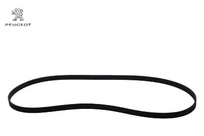 Alternatör Kayişi  6pk1708   Boxer Iii Dw12ruc//peugeot resmi