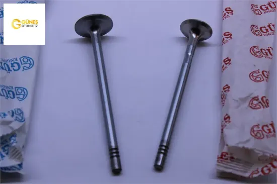 Supap Tk. Boxer-transit 2.2hdi-dt 100-120hp Puma resmi