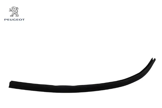 Sağ İç Cam Fitili Peugeot 9310.G8 resmi