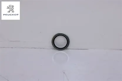 Motor Boşaltma Tapasi Contasi Boxer 2.2 Bluehdi Euro 6.4 resmi