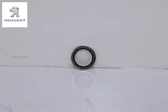 Motor Boşaltma Tapasi Contasi Boxer 2.2 Bluehdi Euro 6.4 resmi