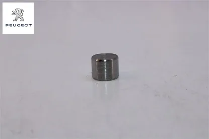 Çatl Baski Pimi Peugeot 1982.E3 resmi