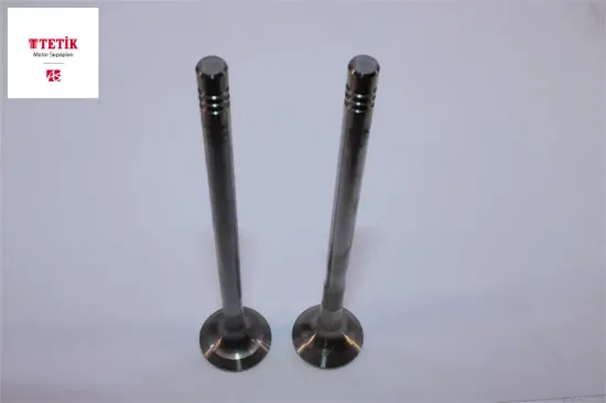 Supap Takim   Astra-corsa-albea-doblo-palio-punto 1.3 Jtd 16v  Euro4 resmi