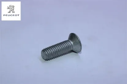 Kilit Karşilik Vidasi Peugeot 8503.LW resmi