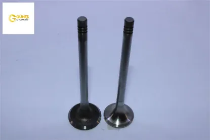 Takim Supap  407-508-807-c5 2.2hdi/ Dw12bted4 16v resmi