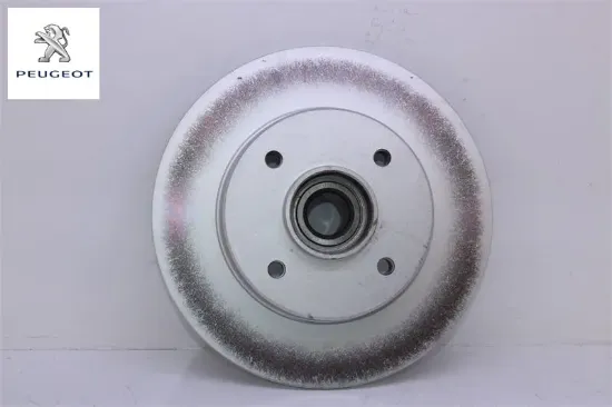 Arka Fren Disk Aynasi 308 1.4/1.6/2.0 Hdi resmi