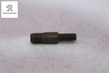 Karter Tapasi Peugeot 0250.60 resmi