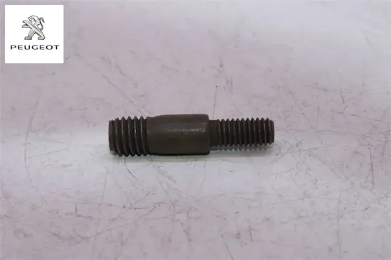 Karter Tapasi Peugeot 0250.60 resmi