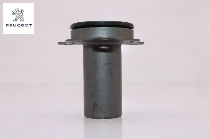 Prizdirek Klavuzu  206 Dv4td Peugeot    CITROEN, PEUGEOT 2105.38 resmi