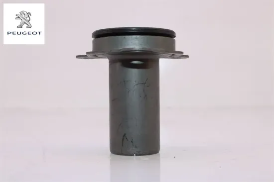 Prizdirek Klavuzu  206 Dv4td Peugeot    CITROEN, PEUGEOT 2105.38 resmi