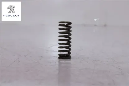 Yay Peugeot 2539.34 resmi