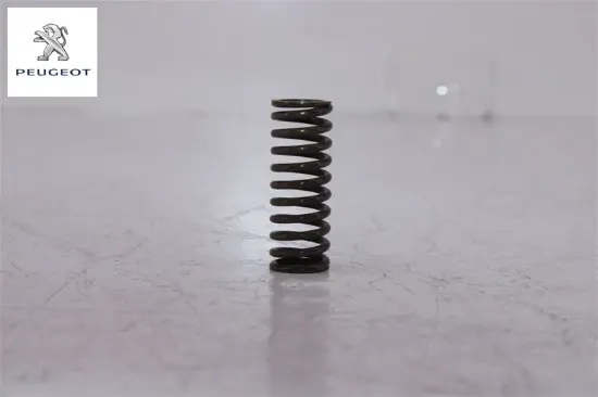 Yay Peugeot 2539.34 resmi