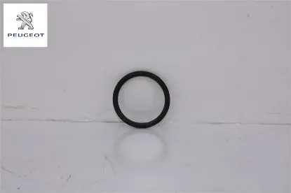 Su Dagitici Contasi Peugeot 1340.89 resmi