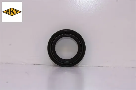 Aks Keçesi Sağ  206-306-307-406-partner Be4r Şanz. resmi