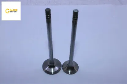 Supap Tk. 207-307-c4-c3   Et3j4    1,4i   16 resmi