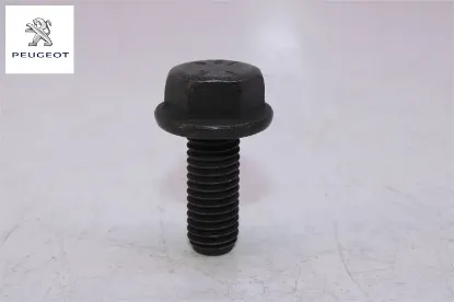 Kasnak Civatasi Peugeot 1682801980 resmi