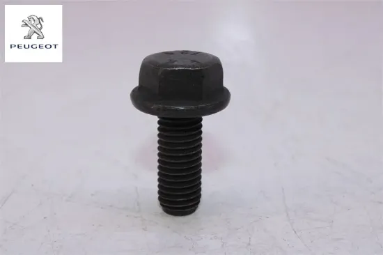 Kasnak Civatasi Peugeot 1682801980 resmi