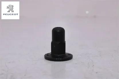 Davlumbaz Agrafi Peugeot 8565.65 resmi