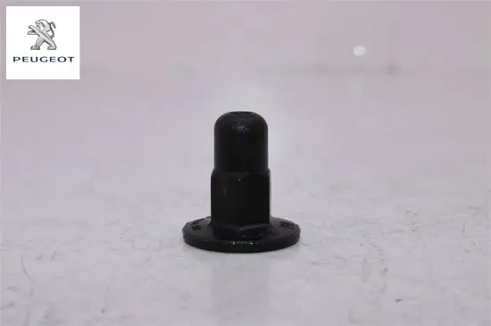 Davlumbaz Agrafi Peugeot 8565.65 resmi