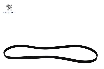 Alternatör Kayişi 6pk1740 406-expert-partner Dw10 resmi