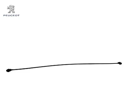 Racor Peugeot 1323.12 resmi