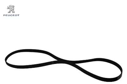 Alternatör Kayişi 6pk1736 206-expert Dw8b resmi