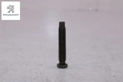 Külbütör Vidasi Peugeot    0908.21 resmi