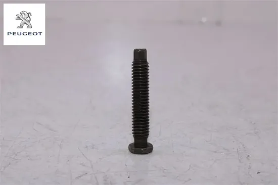 Külbütör Vidasi Peugeot    0908.21 resmi