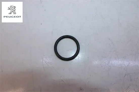 Oring Lastik Peugeot 1340.87 resmi