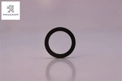 Yağ Pompa Contasi 206/307 Peugeot  2S6Q6A628BA/    1013.09 resmi