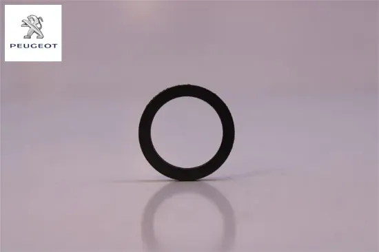 Yağ Pompa Contasi 206/307 Peugeot  2S6Q6A628BA/    1013.09 resmi