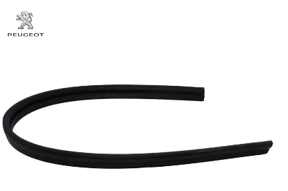 Motor Kaput Fitili Boxer Iii Peugeot 8251.AZ resmi