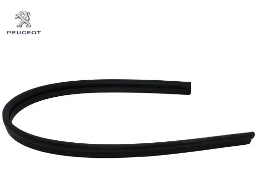 Motor Kaput Fitili Boxer Iii Peugeot 8251.AZ resmi