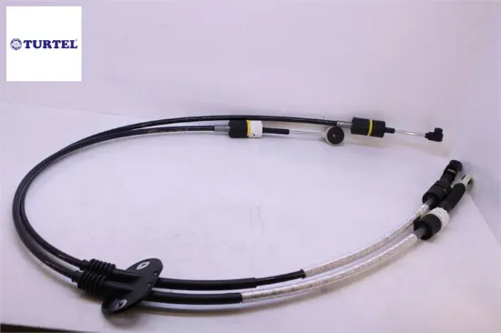 Vites Teli (2008 > ) Focus Turtel  4M5R7E395RB   502-22004 resmi