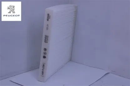 Karbon Filtresi Peugeot 1692730780 resmi