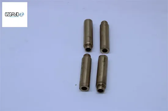 Supap Gaydi In/ex Bronz    Boxer 12v Özgayd  0220.93/ GV2529 resmi