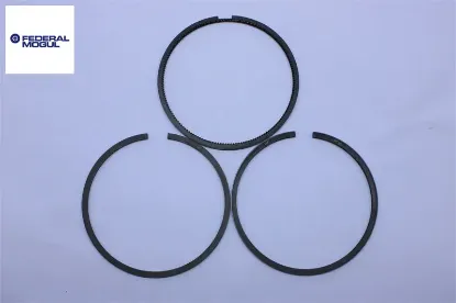 Segman Std. 73,70 Mm    206 Dv4 Federal Mogul  0640.R8/ 0640.V9   61353000G resmi