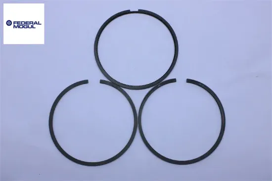 Segman Std. 73,70 Mm    206 Dv4 Federal Mogul  0640.R8/ 0640.V9   61353000G resmi