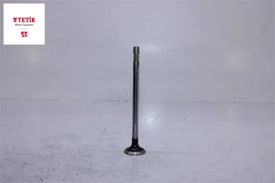 Supap Tk.     Boxer Iii-transit V347 2.2hdi-dt 100-120hp resmi