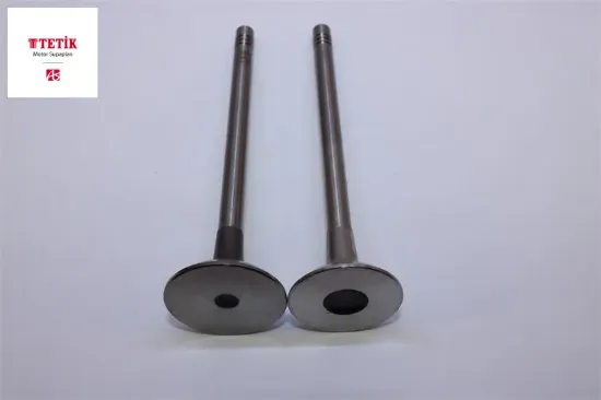 Supap Tk.  Master Iii-movano-laguna Iii 2.3dci 16v / M9r  2010-> resmi